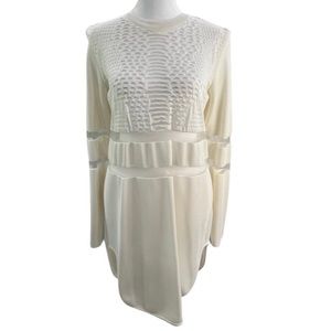 Alexander Wang x HM longsleeve dress